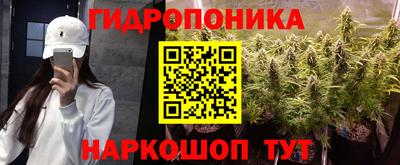 прущие крисы Канаш