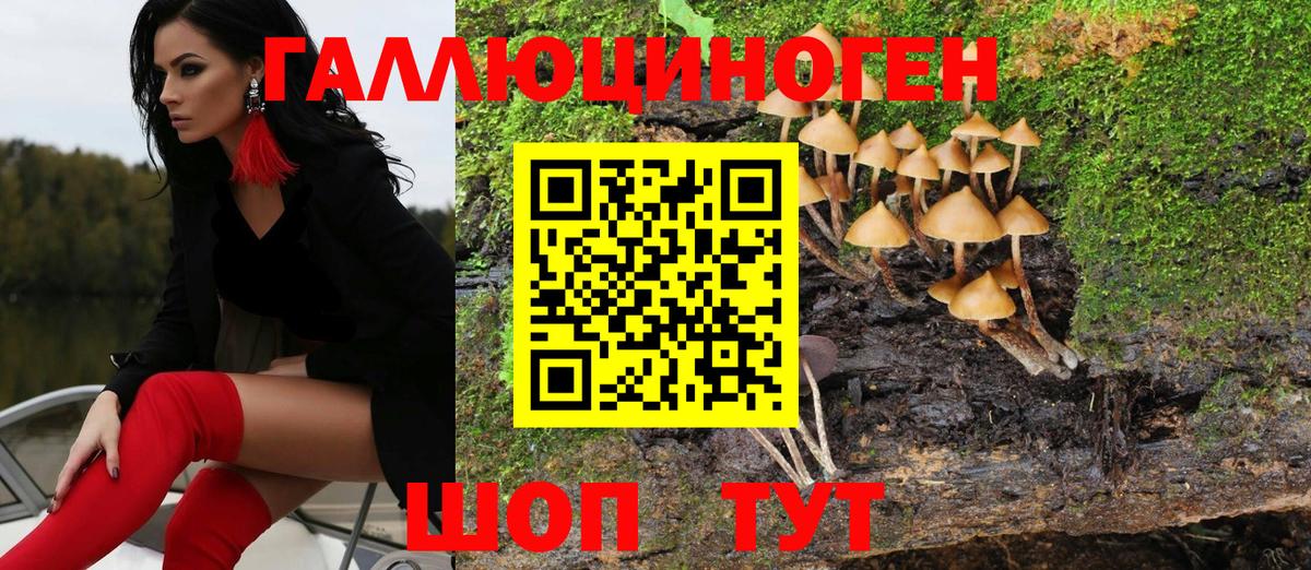Галлюциногенные грибы мицелий Коркино
