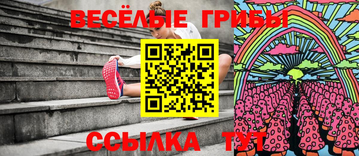 Псилоцибиновые грибы GOLDEN TEACHER  Псилоцибиновые грибы Magic Shrooms  Вход с VPN  Коркино 
